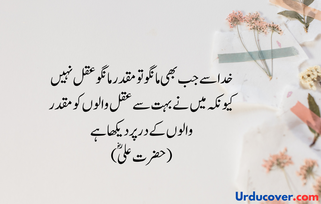 Hazrat Ali Quotes in Urdu