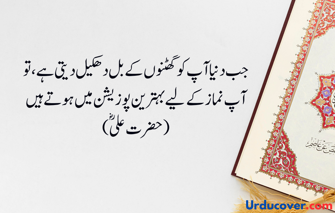 Hazrat Ali Quotes in Urdu