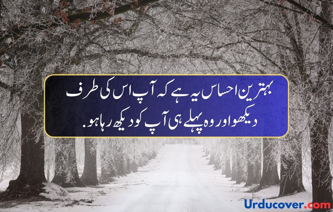 Love Quotes in Urdu