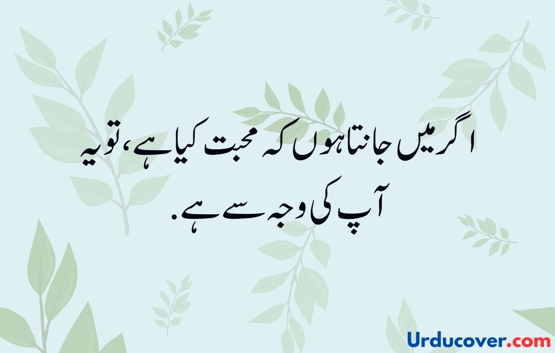 Love Quotes in Urdu