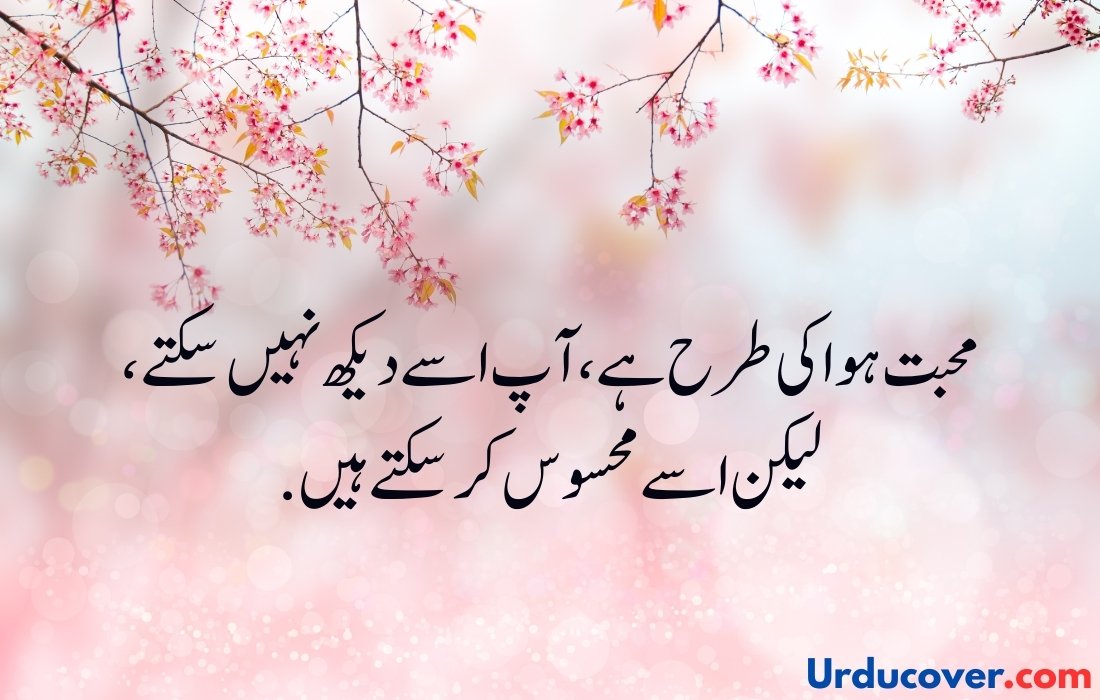 Love Quotes in Urdu