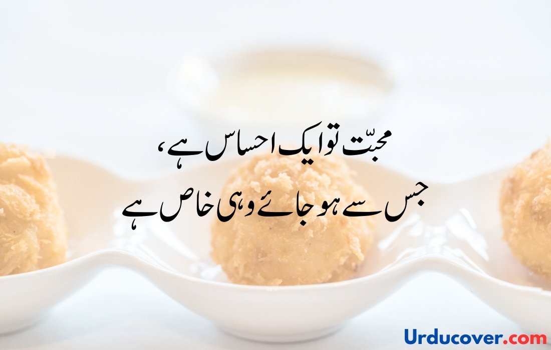 Love Quotes in Urdu