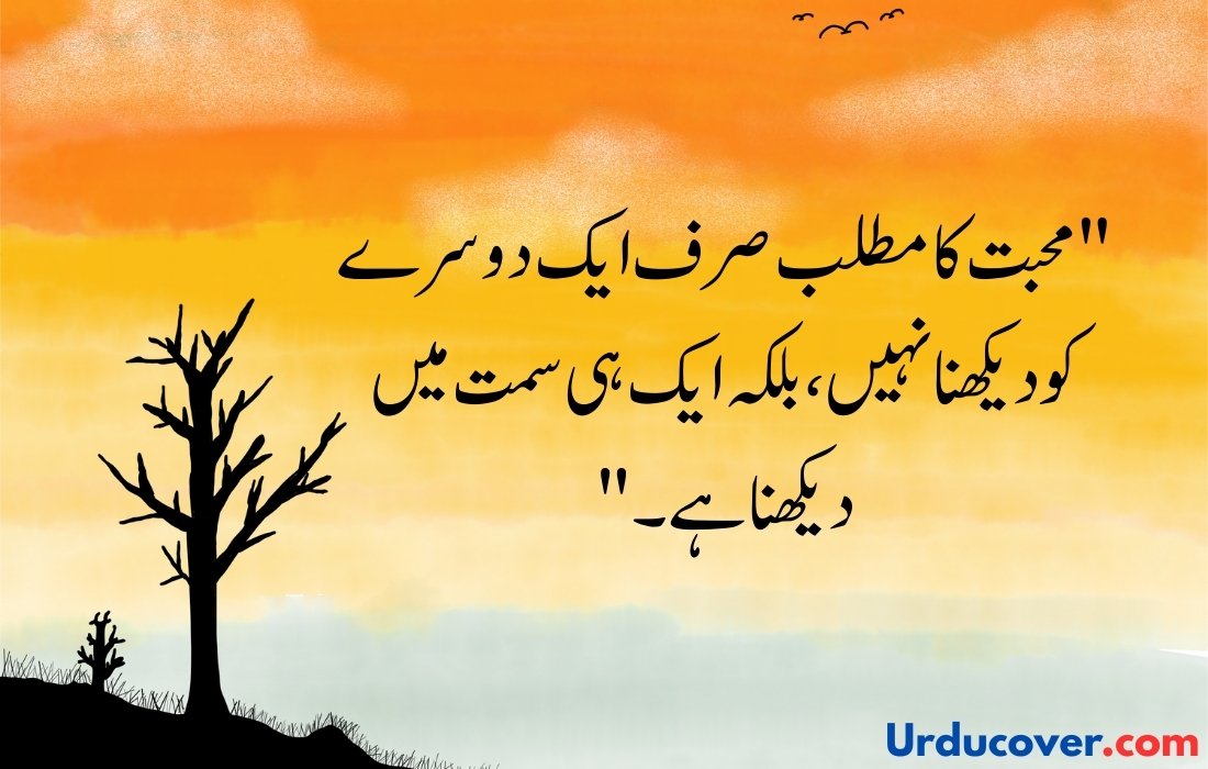 Love Quotes in Urdu