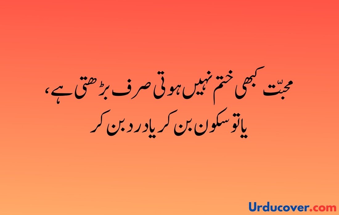 Love Quotes in Urdu