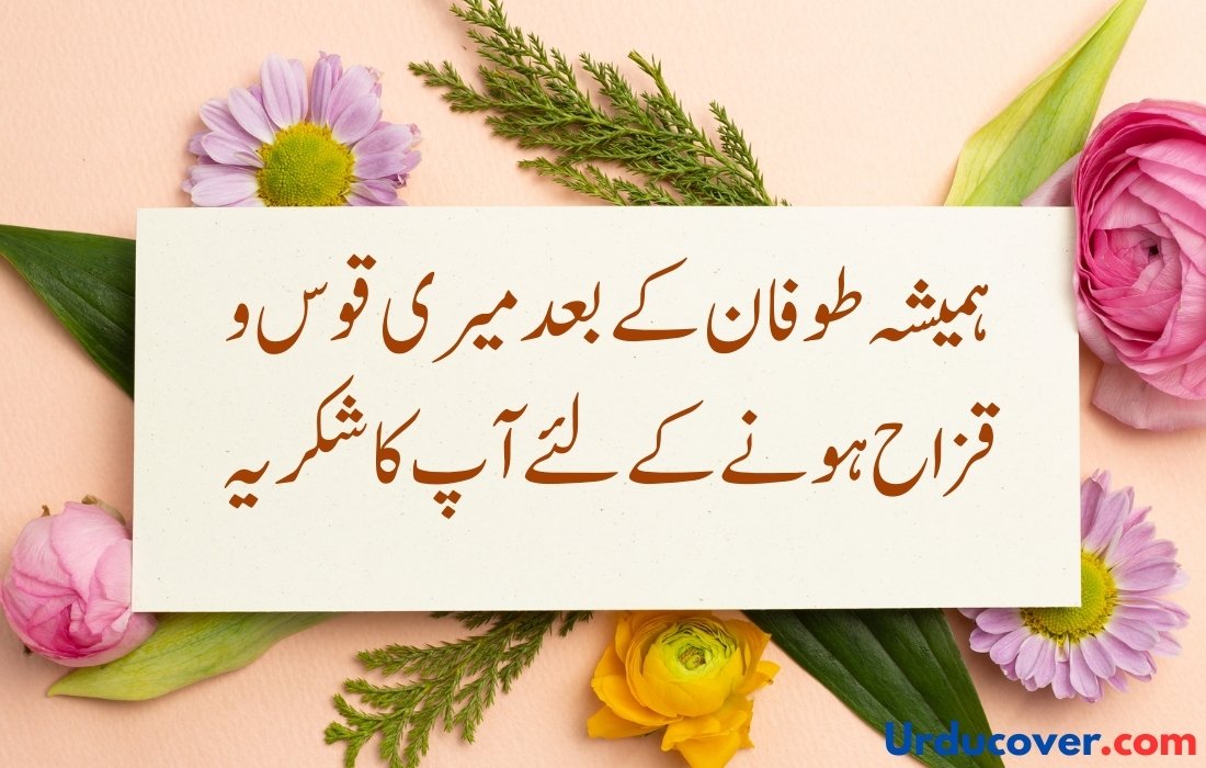 Love Quotes in Urdu